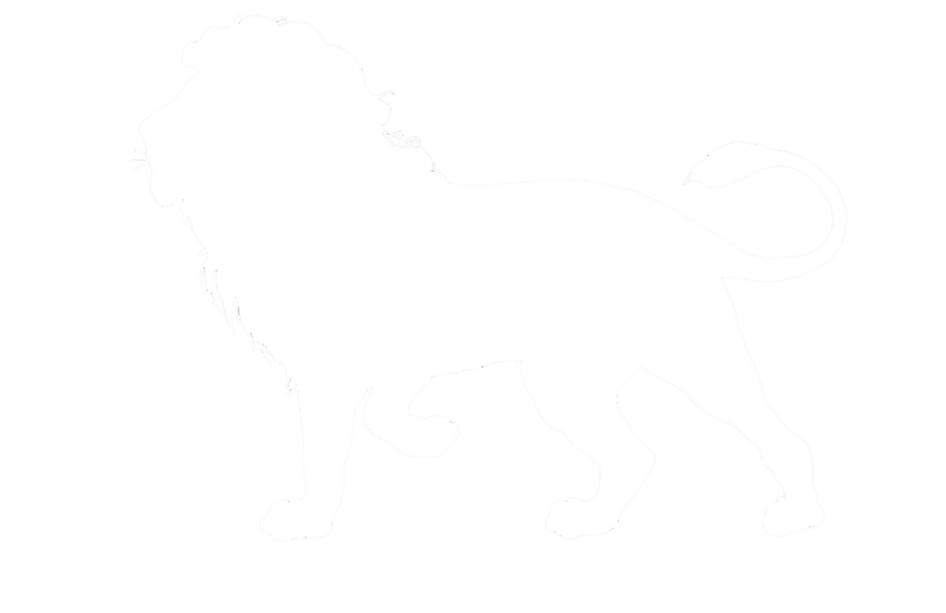 WM Variedades Logo